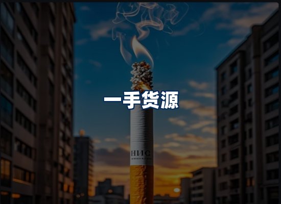专业团队办公环境